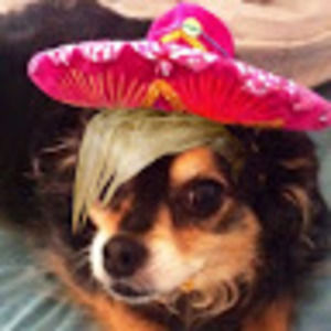 Meet your Posher, Catherine